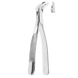 Extracting Forceps American pattern