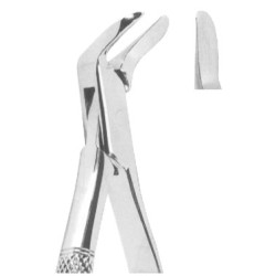 Extracting Forceps American pattern