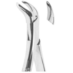 Extracting Forceps American pattern