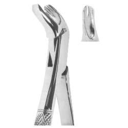 Extracting Forceps American pattern
