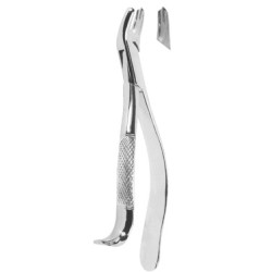 Extracting Forceps American pattern