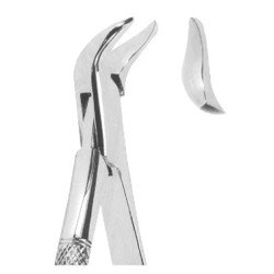 Extracting Forceps American pattern