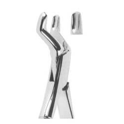 Extracting Forceps American pattern