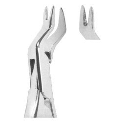 Extracting Forceps American pattern