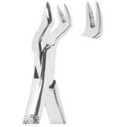 Extracting Forceps American pattern