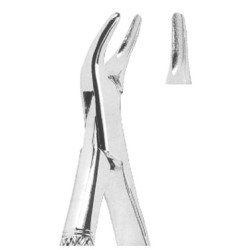 Extracting Forceps American pattern
