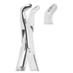 Extracting Forceps American pattern