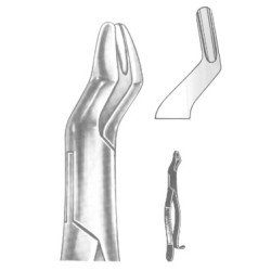 Extracting Forceps American pattern