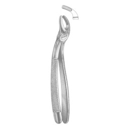 Extracting Forceps English pattern