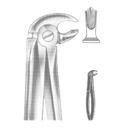 Extracting Forceps English pattern