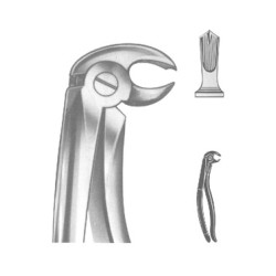 Extracting Forceps English pattern