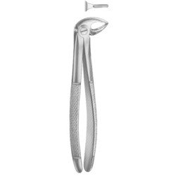 Extracting Forceps English pattern