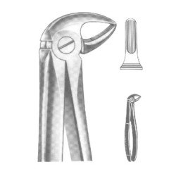 Extracting Forceps English pattern
