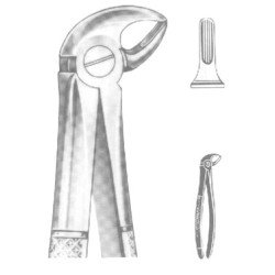 Extracting Forceps English pattern