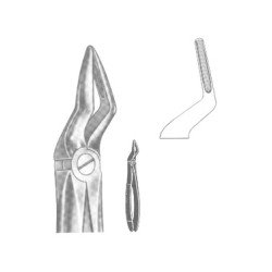 Extracting Forceps English pattern