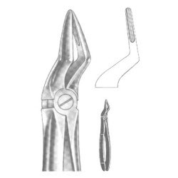 Extracting Forceps English pattern