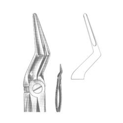 Extracting Forceps English pattern