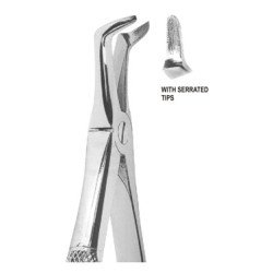 Extracting Forceps English pattern
