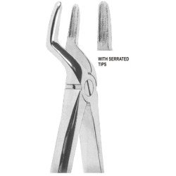 Extracting Forceps English pattern