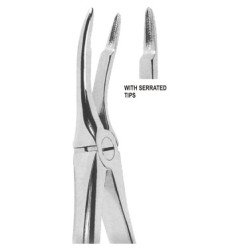 Extracting Forceps English pattern