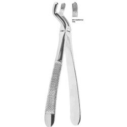 Extracting Forceps English pattern