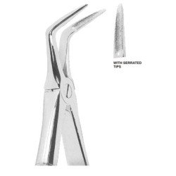Extracting Forceps English pattern