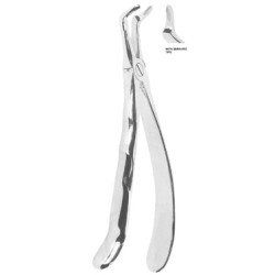 Extracting Forceps With Anatomically Shaped Handle