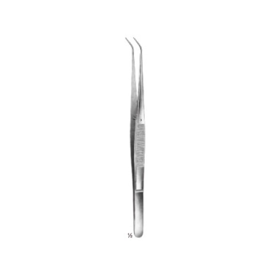 Delicate Dissecting Forceps