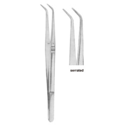 Dental Tweezers