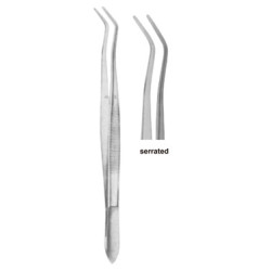 Dental Tweezers