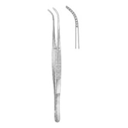 Dental Tweezers