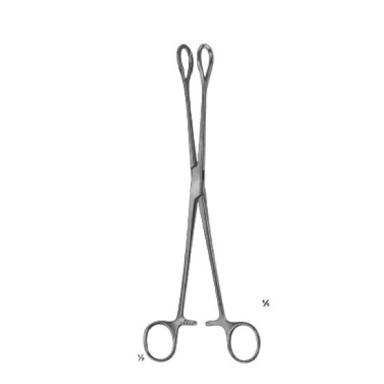 Gall Blader Forceps and Gall Duck Scissors 