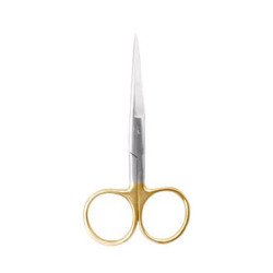 Hair Scissors